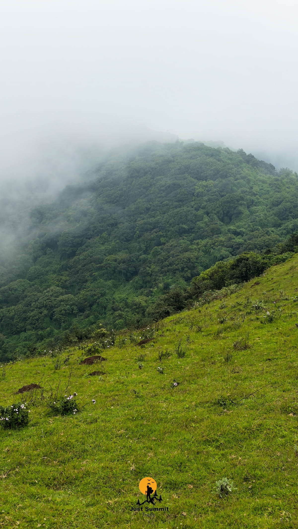 Ngong Hills