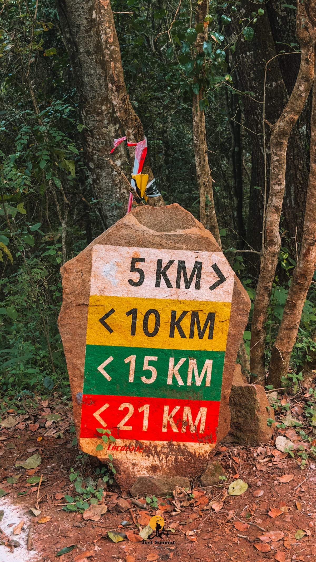 Ngong Road Forest