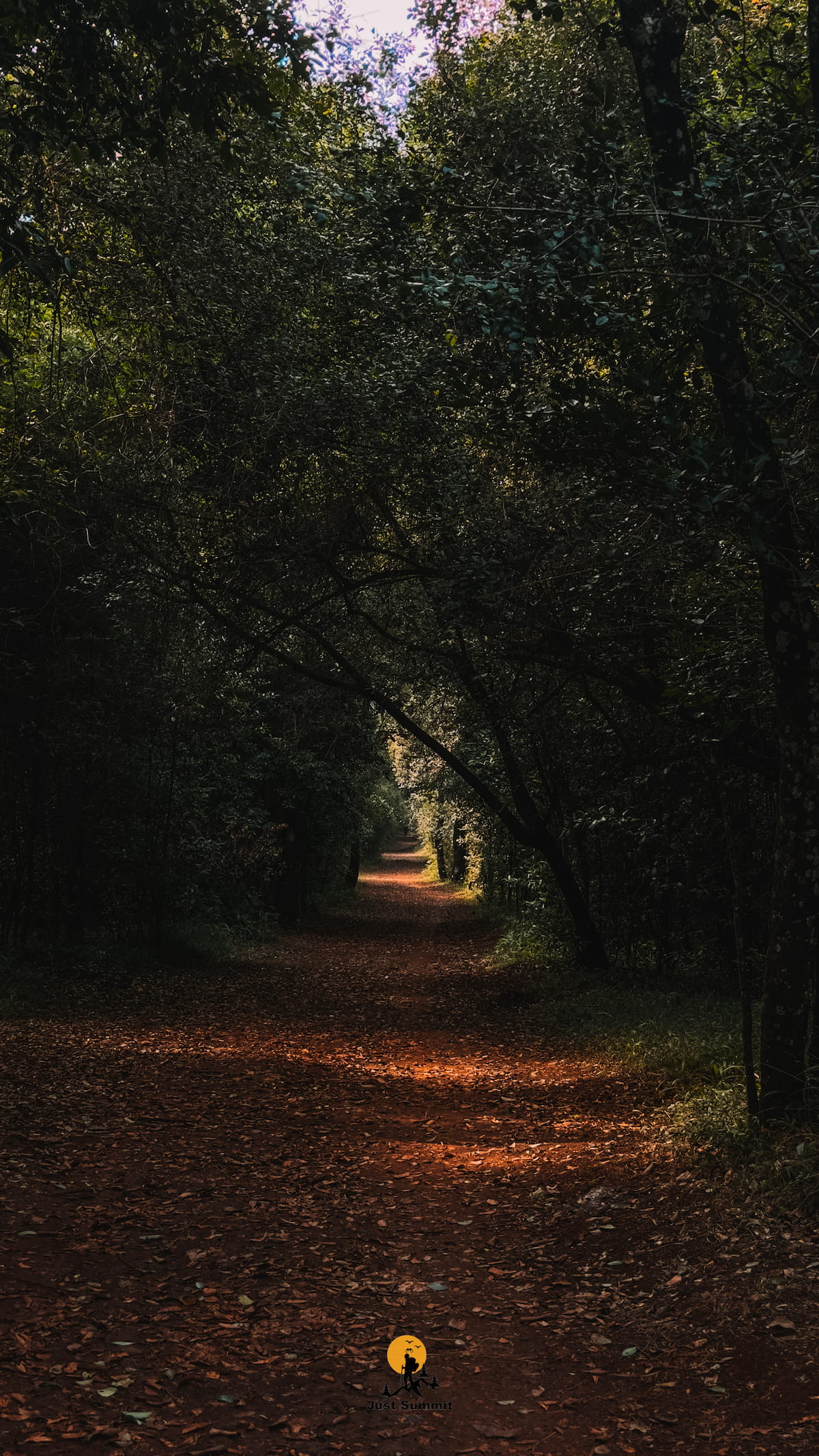 Ngong Road Forest
